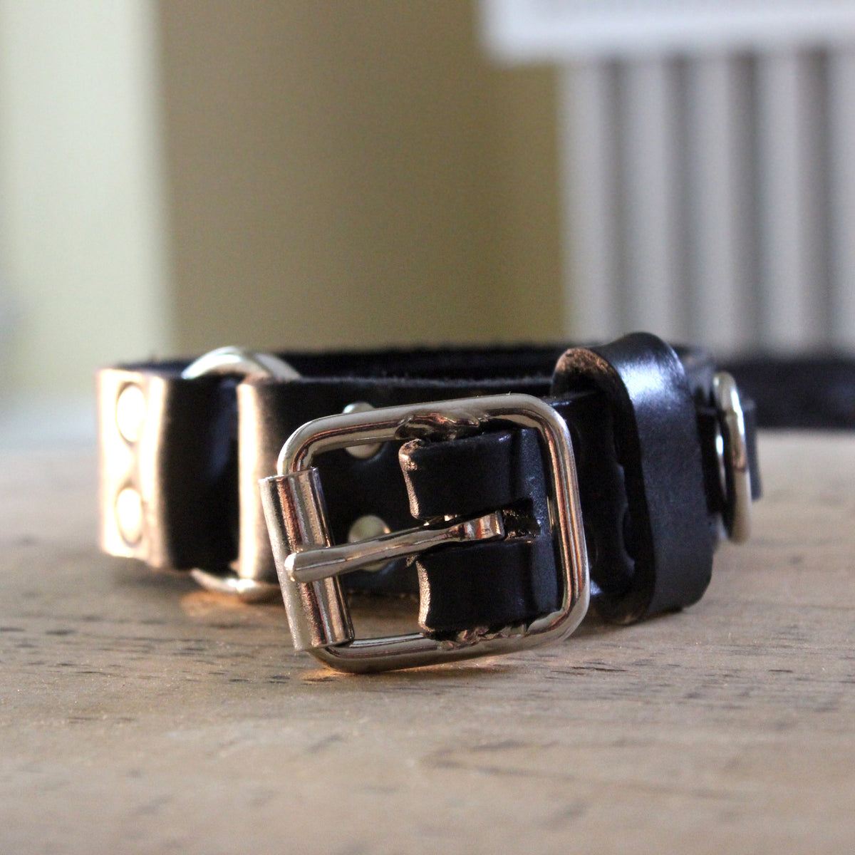 Dog Collar