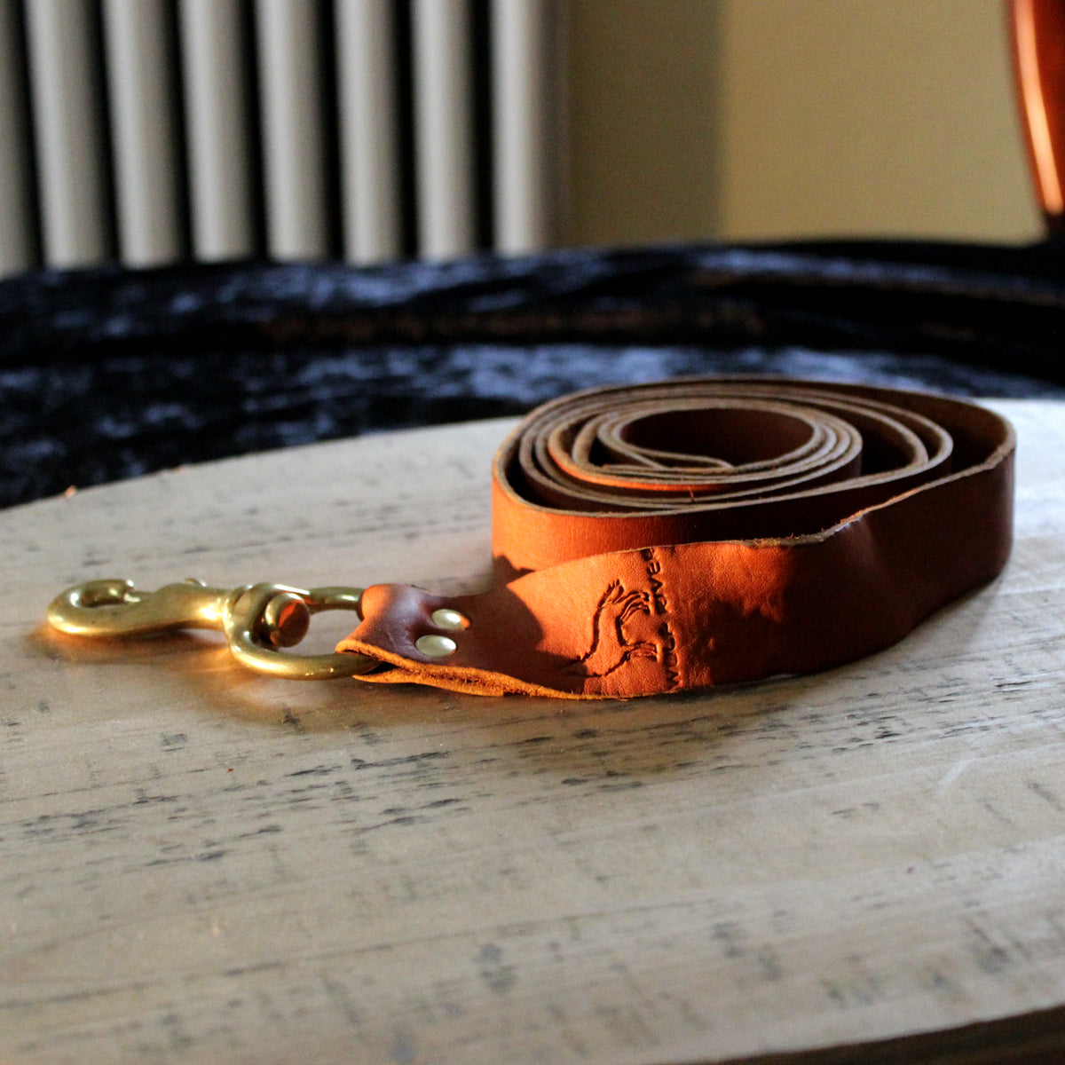 Dog Leash