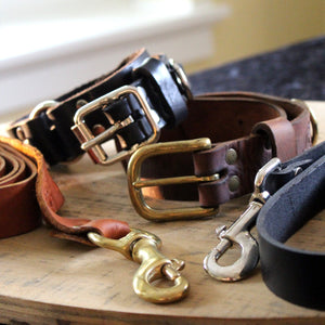 Dog Leash