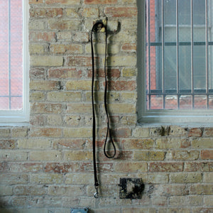 Dog Leash